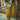 Person wearing yellow pants and a dark shirt in a workshop setting