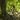Person mountain biking through a forest with trees and greenery in the background