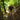 Man riding a mountain bike on a trail in a forest