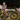 Person on a bike with colorful flower-shaped lanterns at night, featuring 'Men's Tops' text.