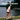 Coastin' Collection