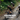 Three cyclists on a trail with text about cycling kits.