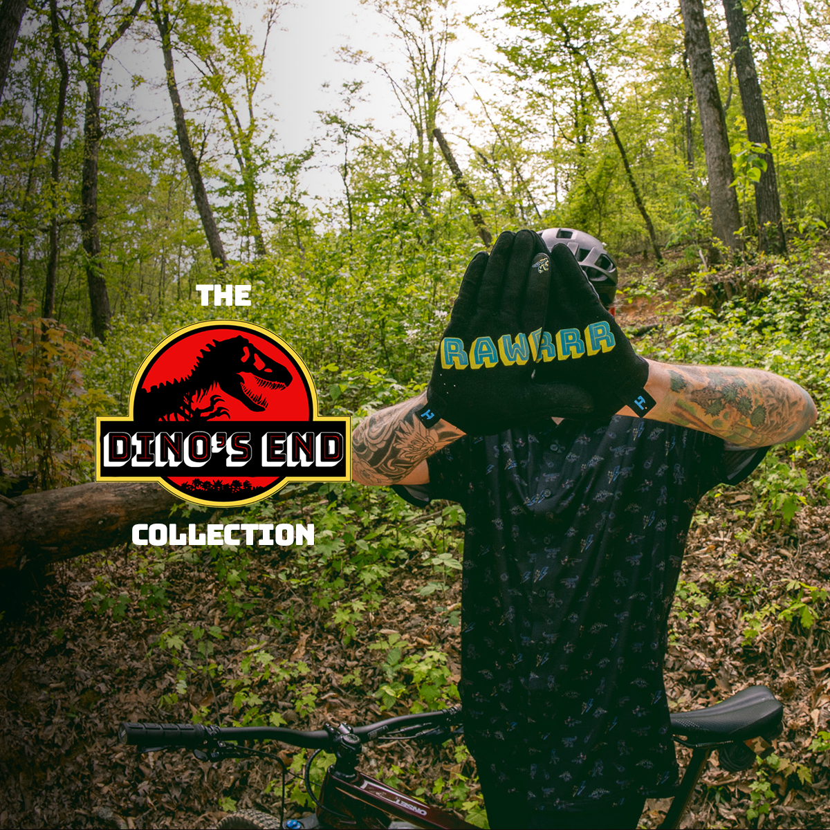 Dino Collection