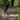A mountain biker rides a bike over wooden ramps in a forest setting, with a central 'Girls Pull Up Not Out' logo and a 'HANDUP' brand mark overlaid on the scene.