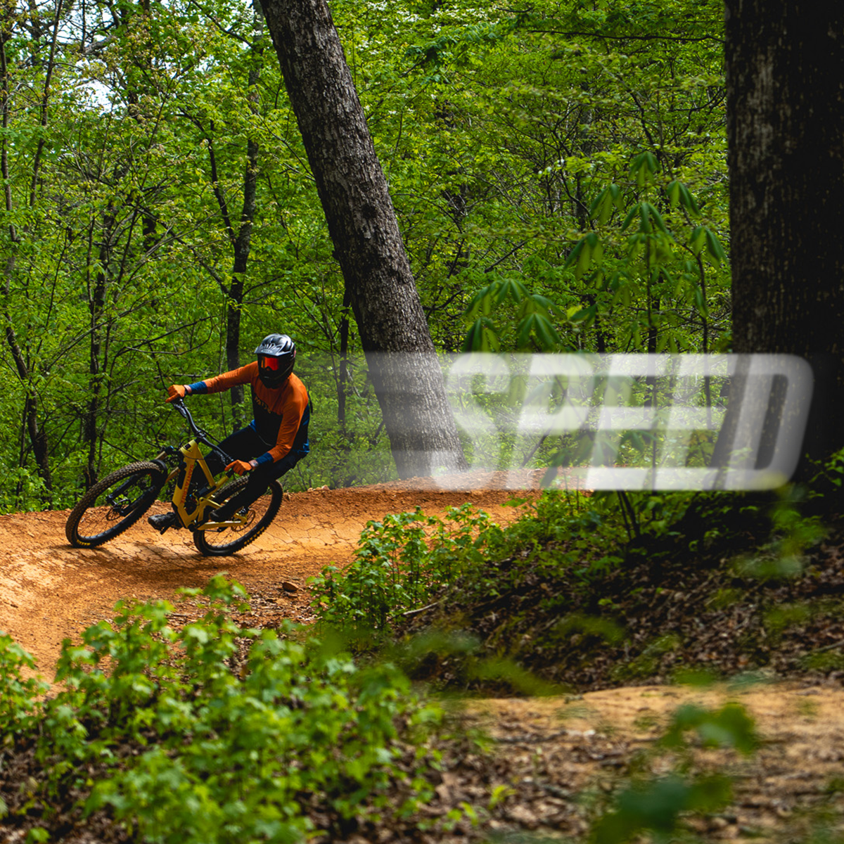 Speed Collection