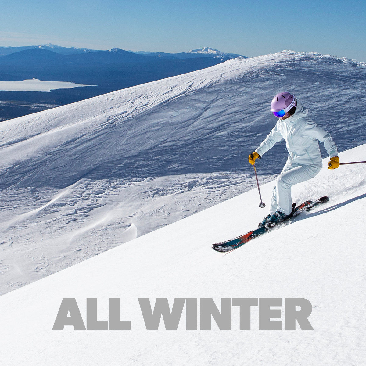 All Winter Gloves