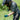 Person wearing a helmet and gloves in a natural setting