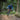 Two mountain bikers navigating a trail with trees and rocks in the background