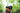 Man wearing a helmet and sunglasses with a forest background