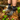Person wearing black socks with white text and hiking boots on a forest floor.