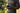 Person in camouflage clothing holding a phone with a blurred natural background
