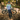 Man holding a mountain bike in a forest setting