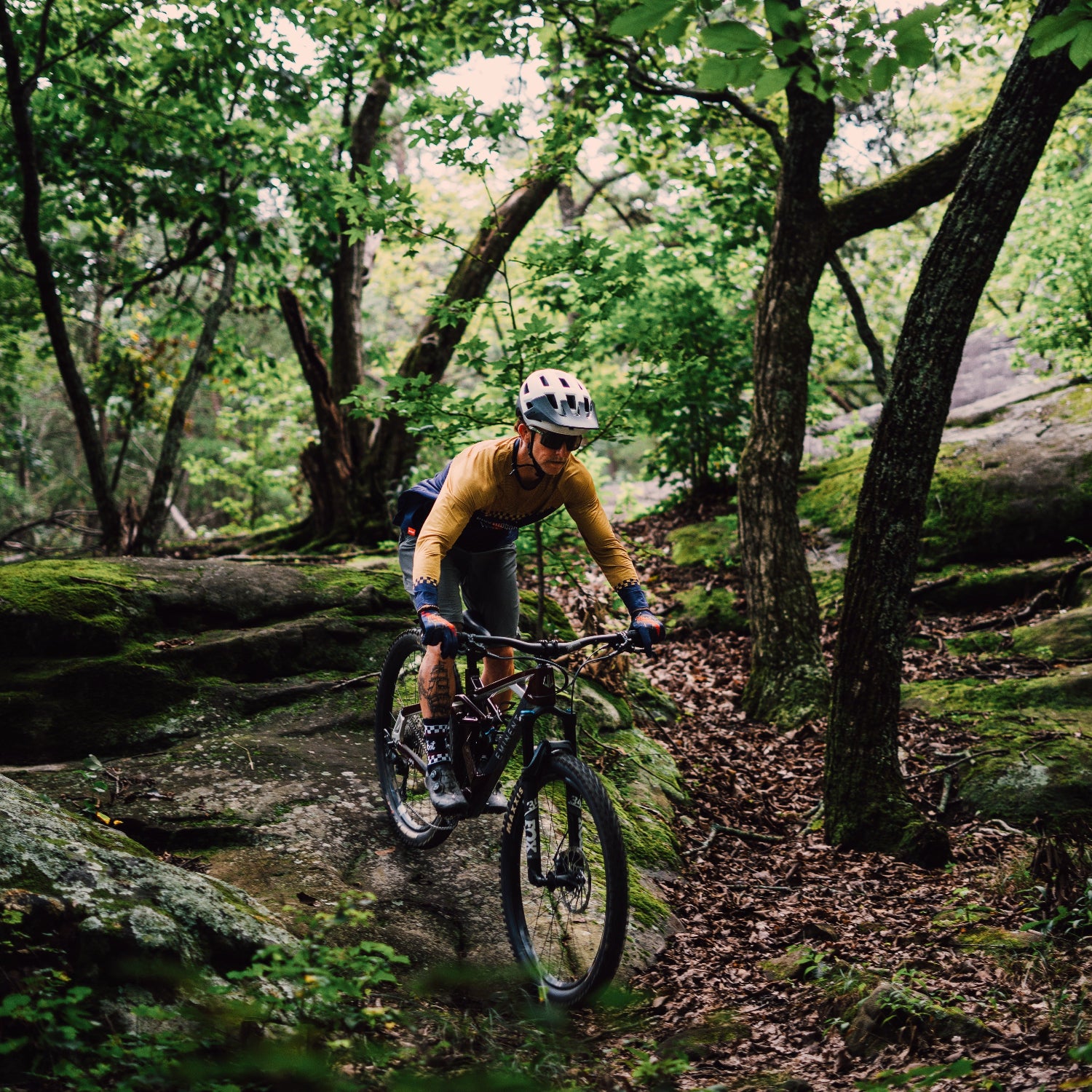 Person mountain biking through a forest on a rocky trail