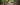 Two people in mountain biking gear working on a log in a forest with 'Women's Shorts' text overlay.